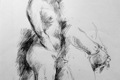 DSC05651