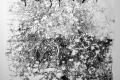 Linienmonotypie-6